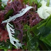 Mix Seaweed Salad.png